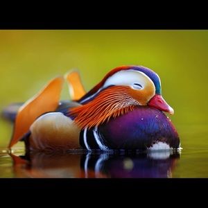 Meet your Posher, Justine